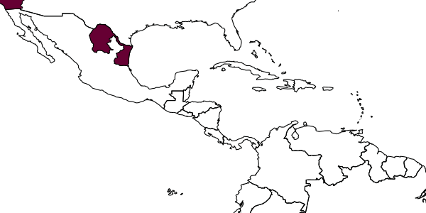map of Eretmocerus joeballi     Rose & Zolnerowich, 1997